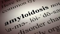 amyloidosis word in dictionary